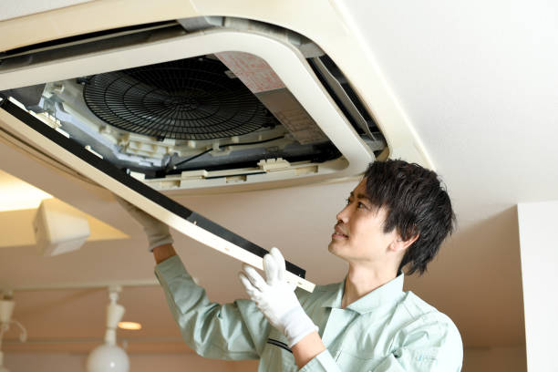 Best Air Duct Mold Removal  in Ladera, CA